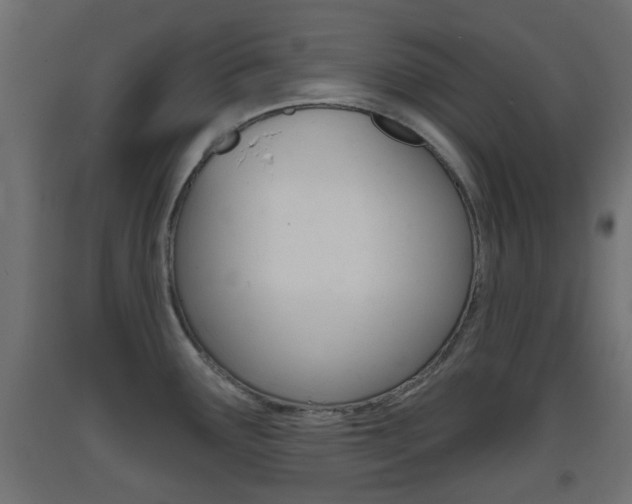 X0000093401291200710120848