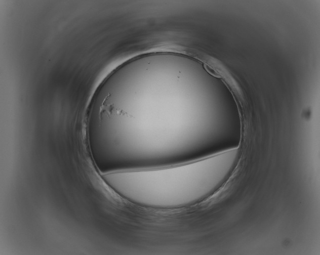 X0000093401292200710120848
