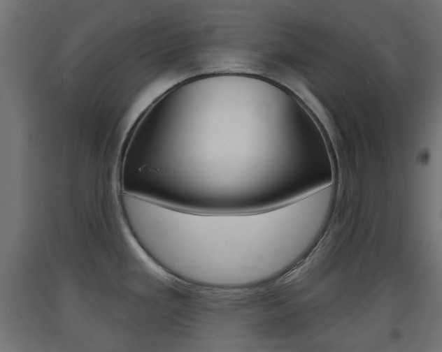 X0000093401293200710120848