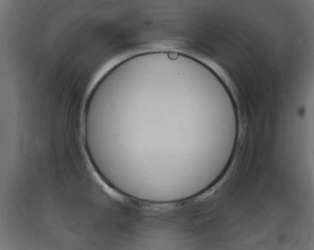 X0000093401294200710120848