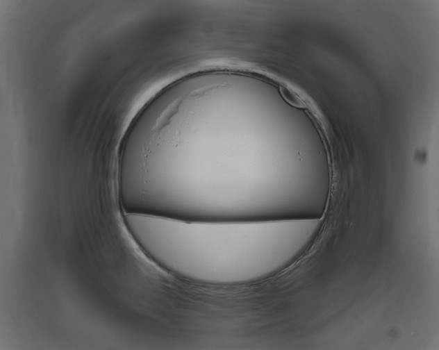 X0000093401295200710120848