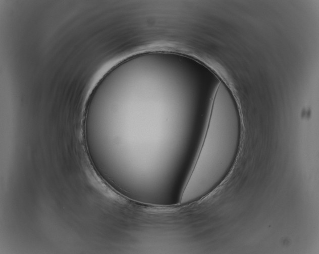 X0000093401296200710120848