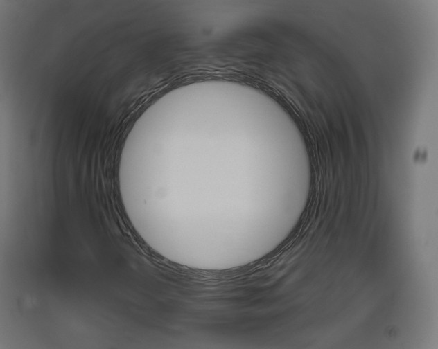 X0000093401298200710120847