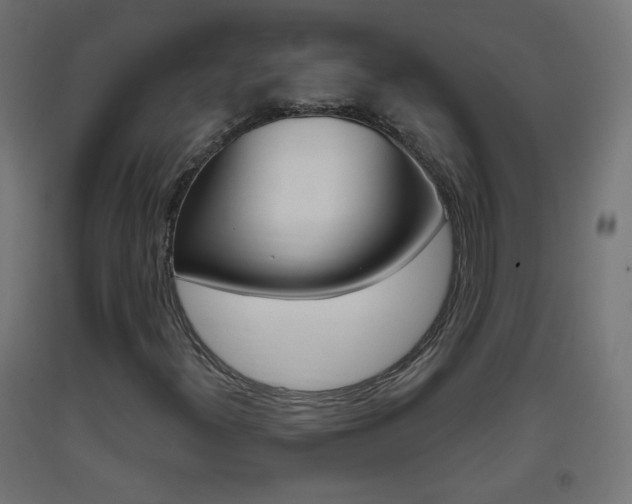 X0000093401300200710120847