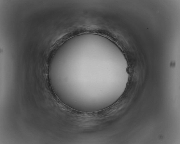 X0000093401301200710120847