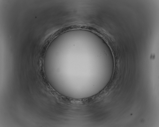 X0000093401302200710120847