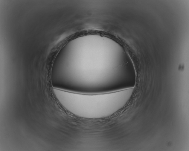 X0000093401303200710120847