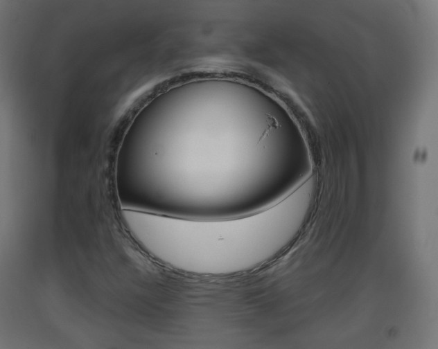 X0000093401304200710120847