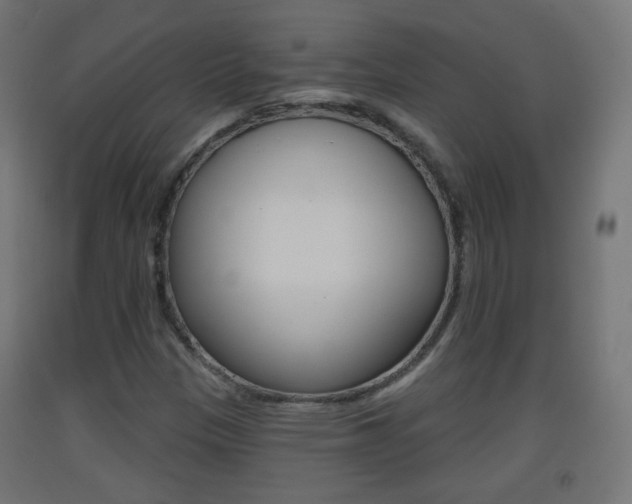 X0000093401305200710120847