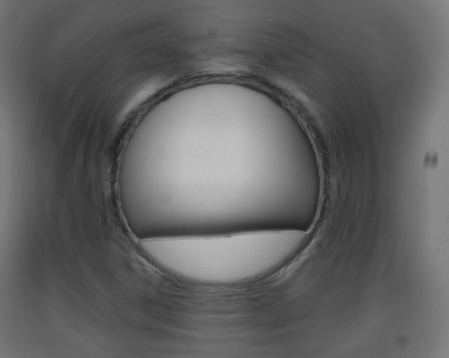 X0000093401306200710120847