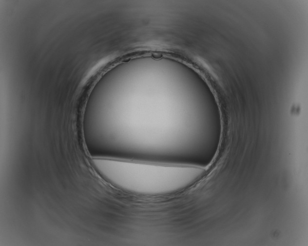 X0000093401307200710120847