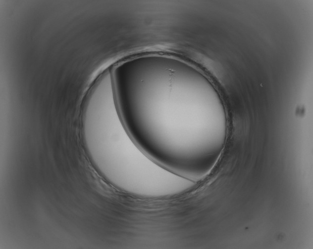 X0000093401308200710120847