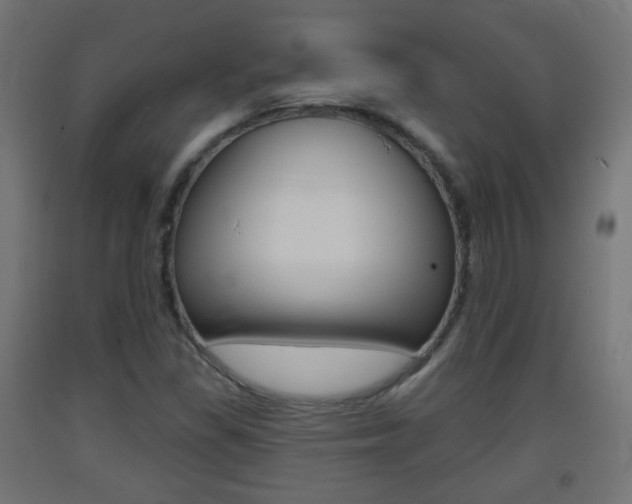 X0000093401309200710120847