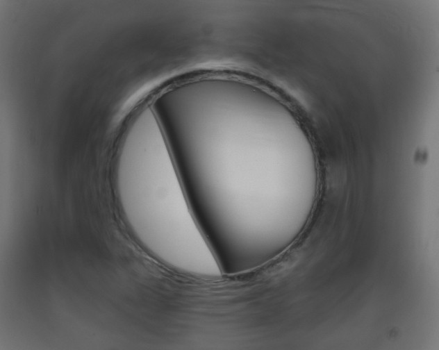 X0000093401311200710120847