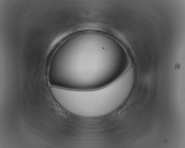 X0000093401312200710120847