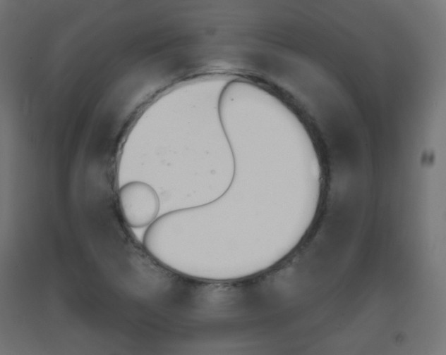 X0000093401314200710120847