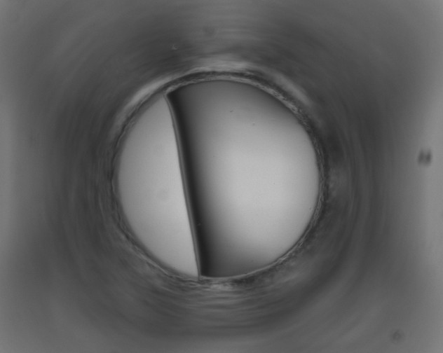 X0000093401315200710120847