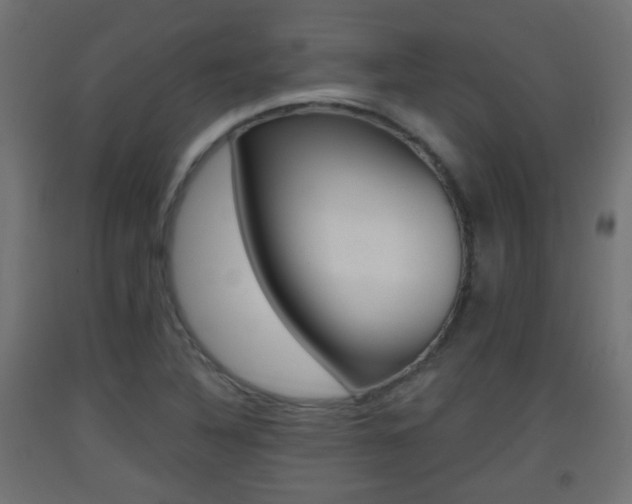 X0000093401316200710120847