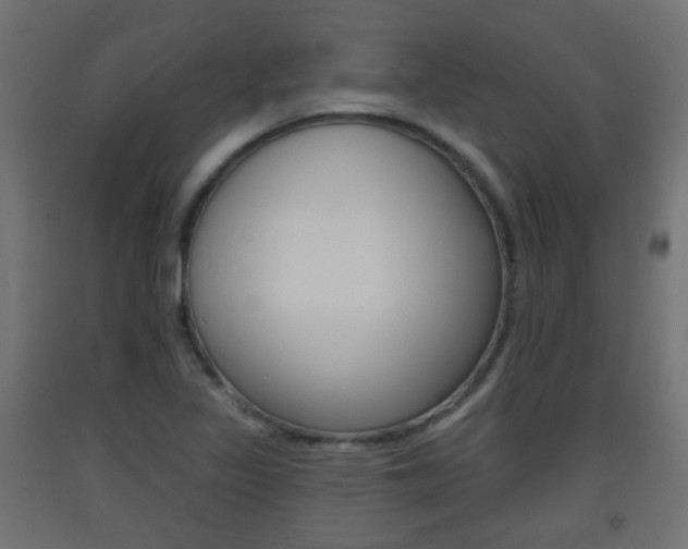 X0000093401317200710120847