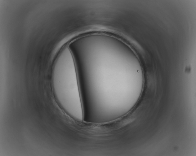 X0000093401318200710120847