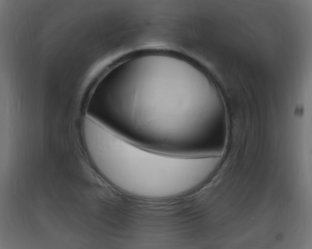 X0000093401319200710120847