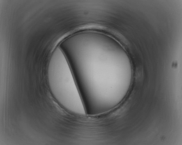 X0000093401321200710120847