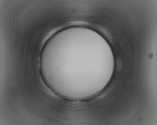 X0000093401322200710120847