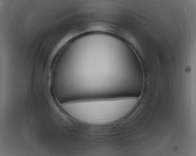 X0000093401323200710120847