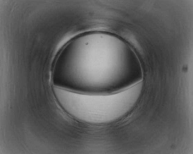 X0000093401324200710120847