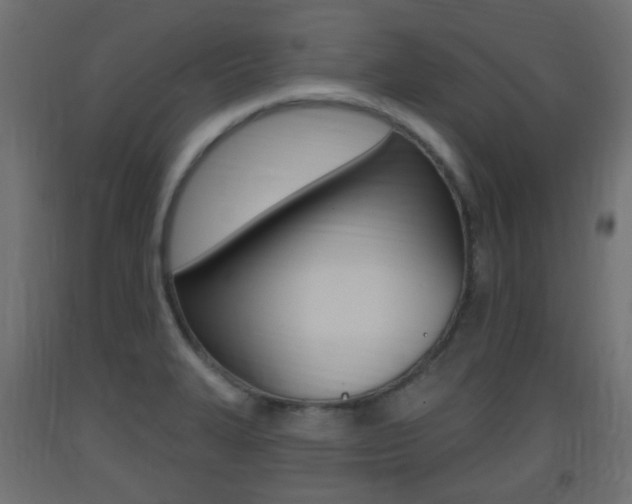X0000093401327200710120847