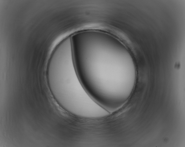 X0000093401328200710120848