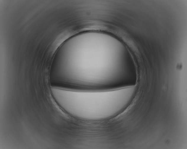 X0000093401329200710120848