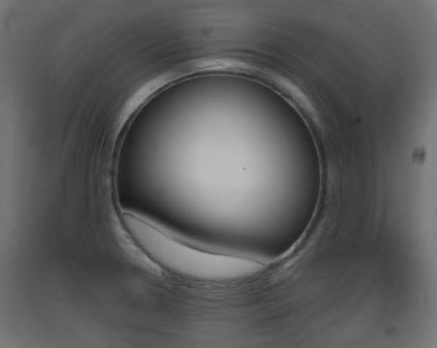X0000093401330200710120848