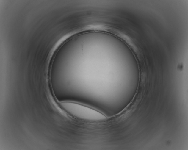 X0000093401331200710120848
