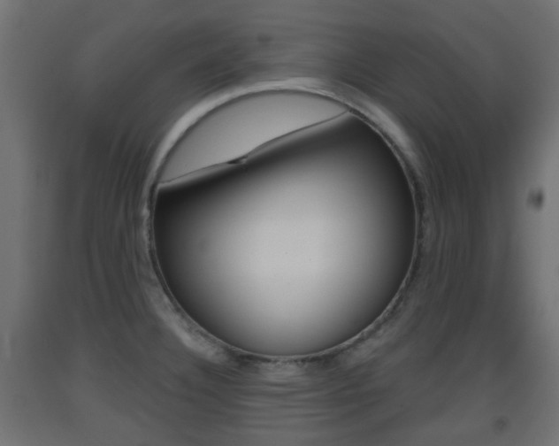 X0000093401332200710120848