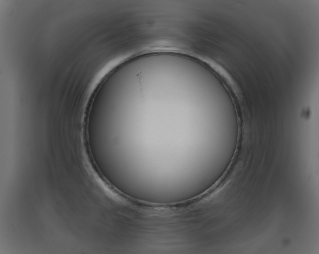 X0000093401333200710120848