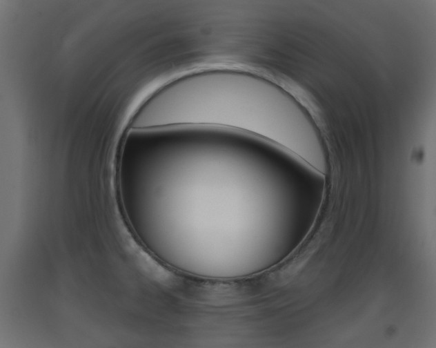 X0000093401334200710120848