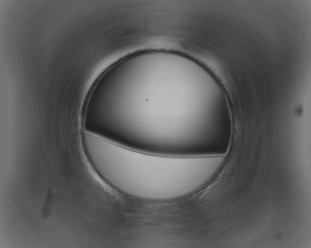X0000093401335200710120848