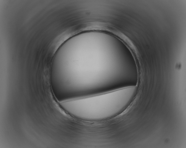 X0000093401337200710120848