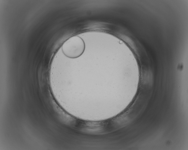 X0000093401338200710120848