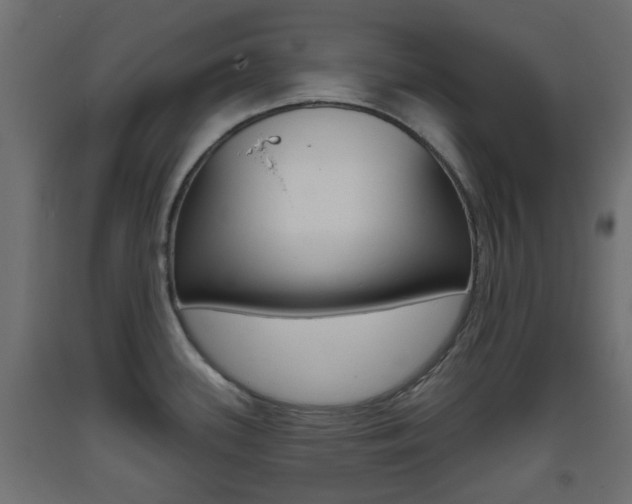 X0000093401339200710120848