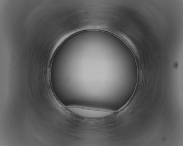 X0000093401340200710120848