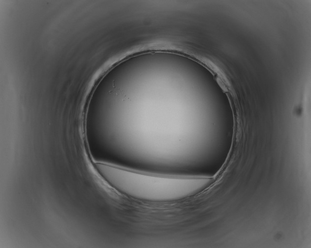 X0000093401342200710120848