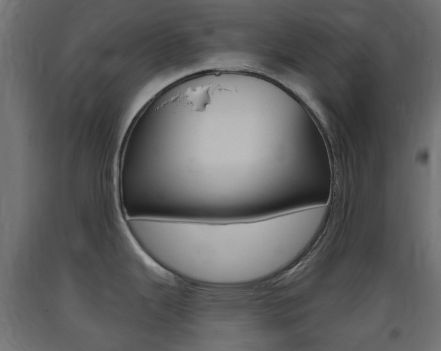 X0000093401343200710120848