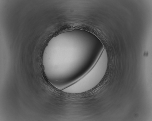 X0000093401345200710120847