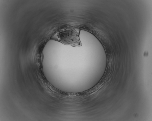 X0000093401346200710120847