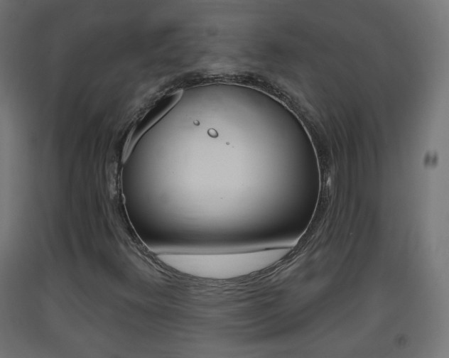X0000093401348200710120847