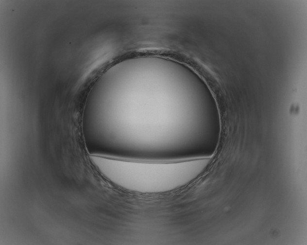 X0000093401351200710120847