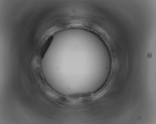 X0000093401353200710120847