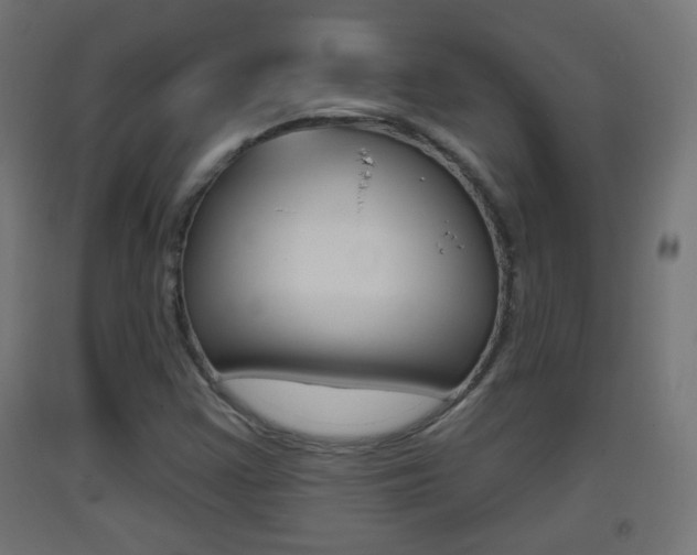 X0000093401355200710120847